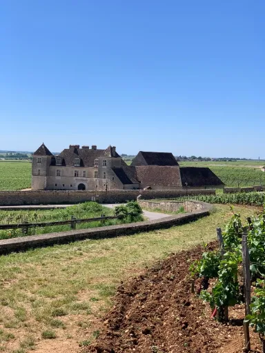 Quiz : "La Bourgogne"